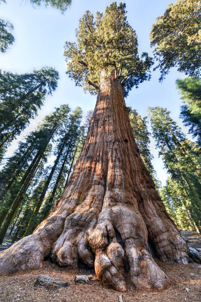 Outdoor Excursions in the Southern Sierra - High Sierra Visitors Council