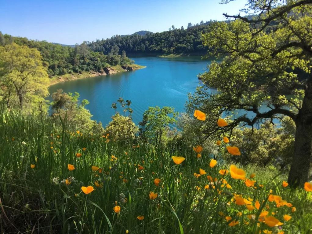 New Melones Lake Kayaking in the High Sierra