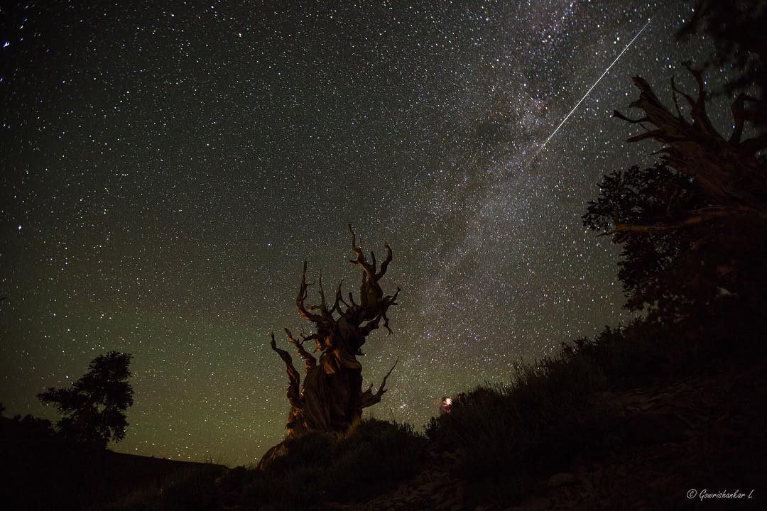 4 Must See Natural Attractions In The High Sierra