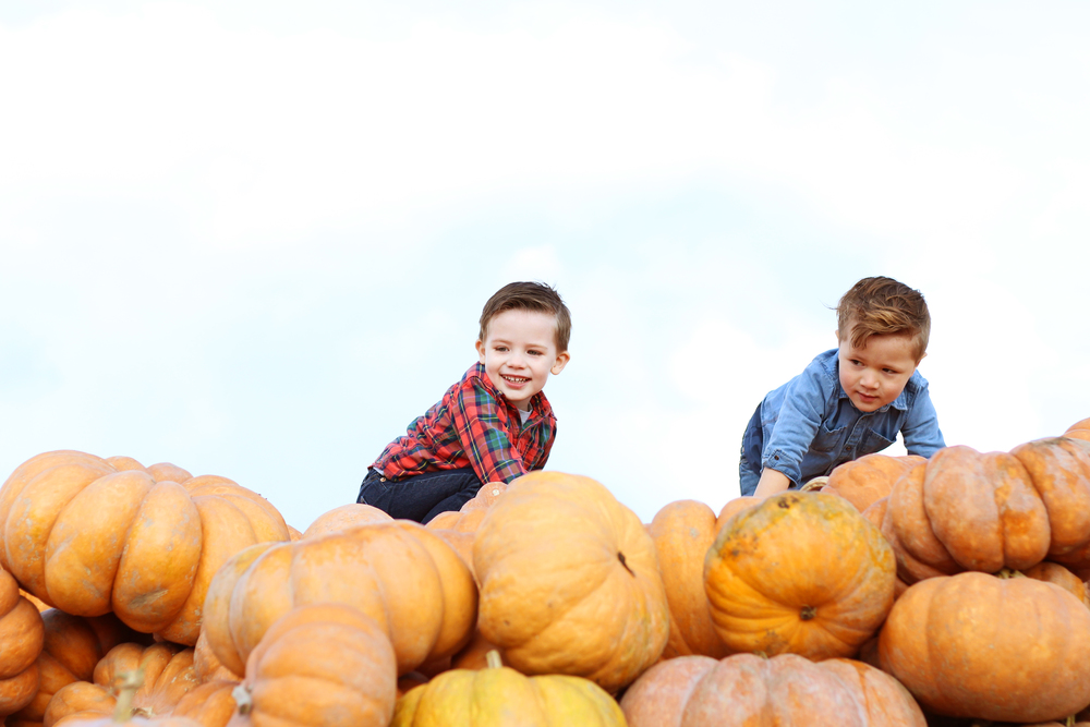 Vossler Farms Pumpkin Patch