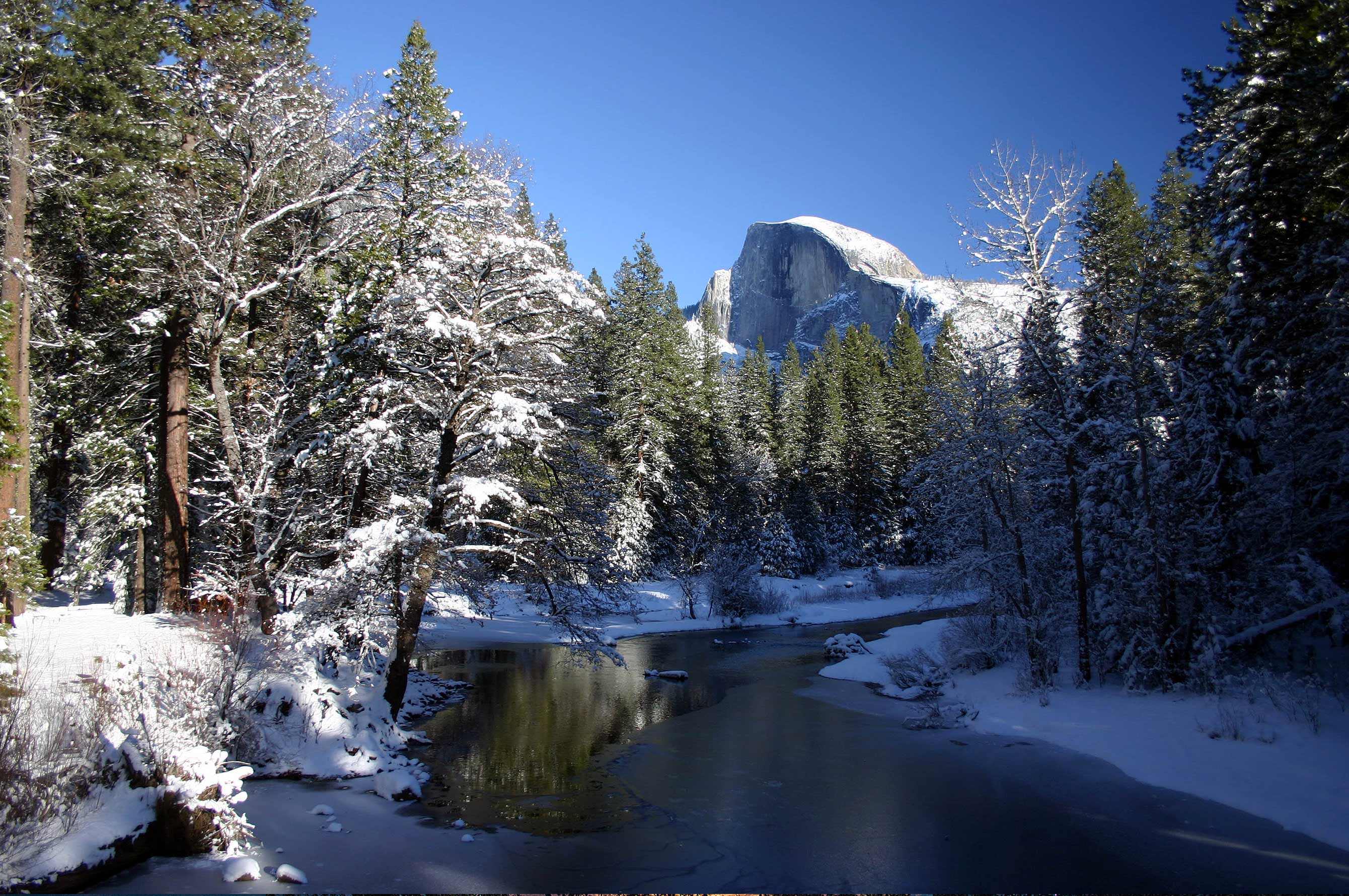 Winter In The High Sierra