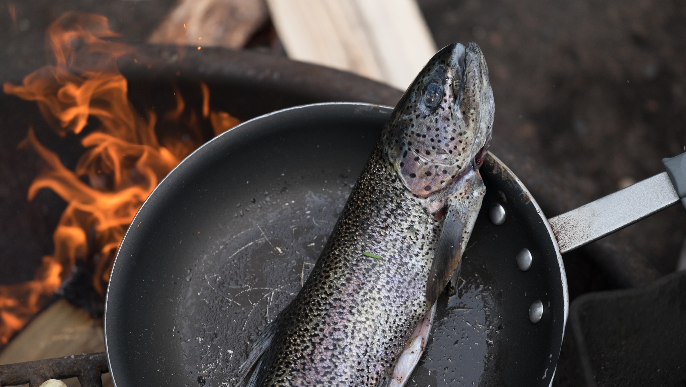 Trout Camp Fire