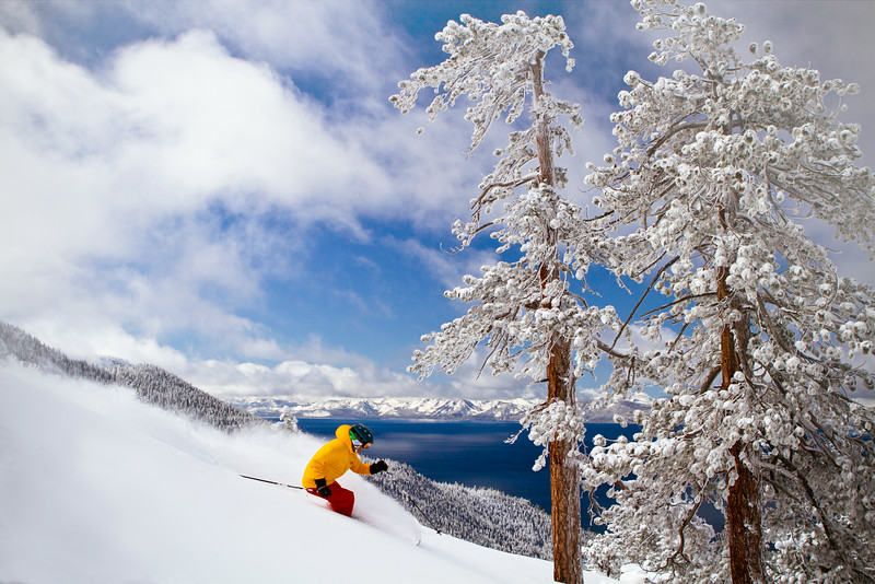 skier skiing powder at Diamond Peak Resort in Lake Tahoe